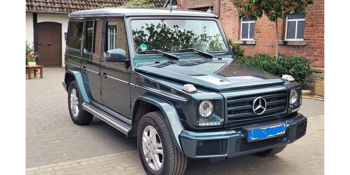 Mercedes-Benz G 350 165.000 km 53.300 &euro; Melle 49324