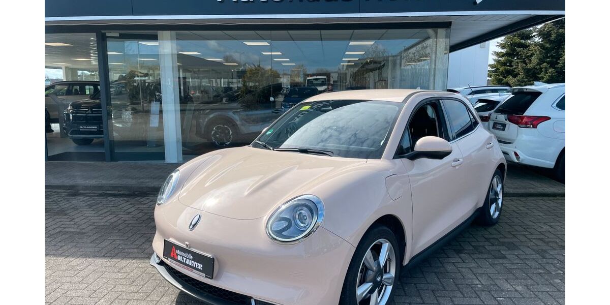 GWM Ora 03 22.750 km 18.750 &euro; Melle 49324