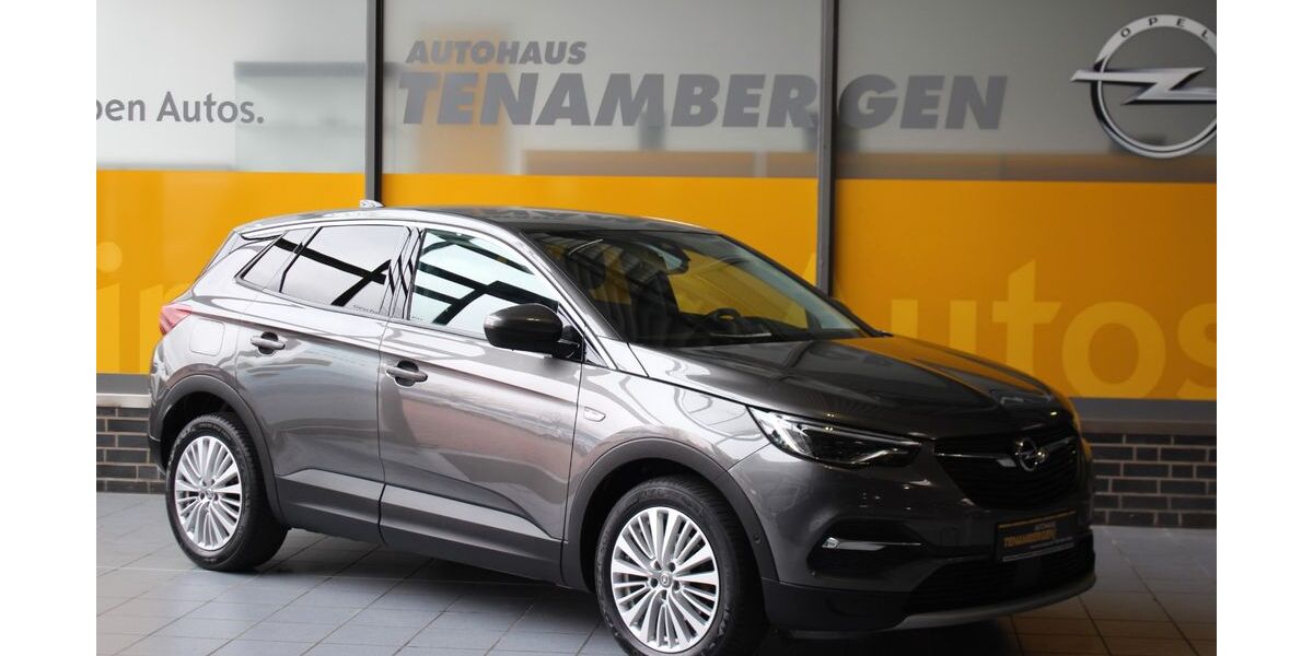 Opel Grandland (X) 135.300 km 16.900 &euro; Mettingen 49497
