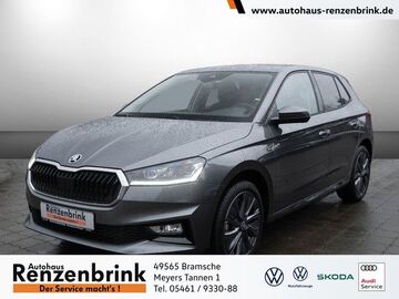Gebrauchte Skoda Fabia