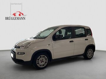 Gebrauchte Fiat Panda