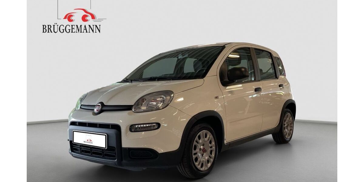 Fiat Panda 28.744 km 10.490 &euro; Osnabrück 49078