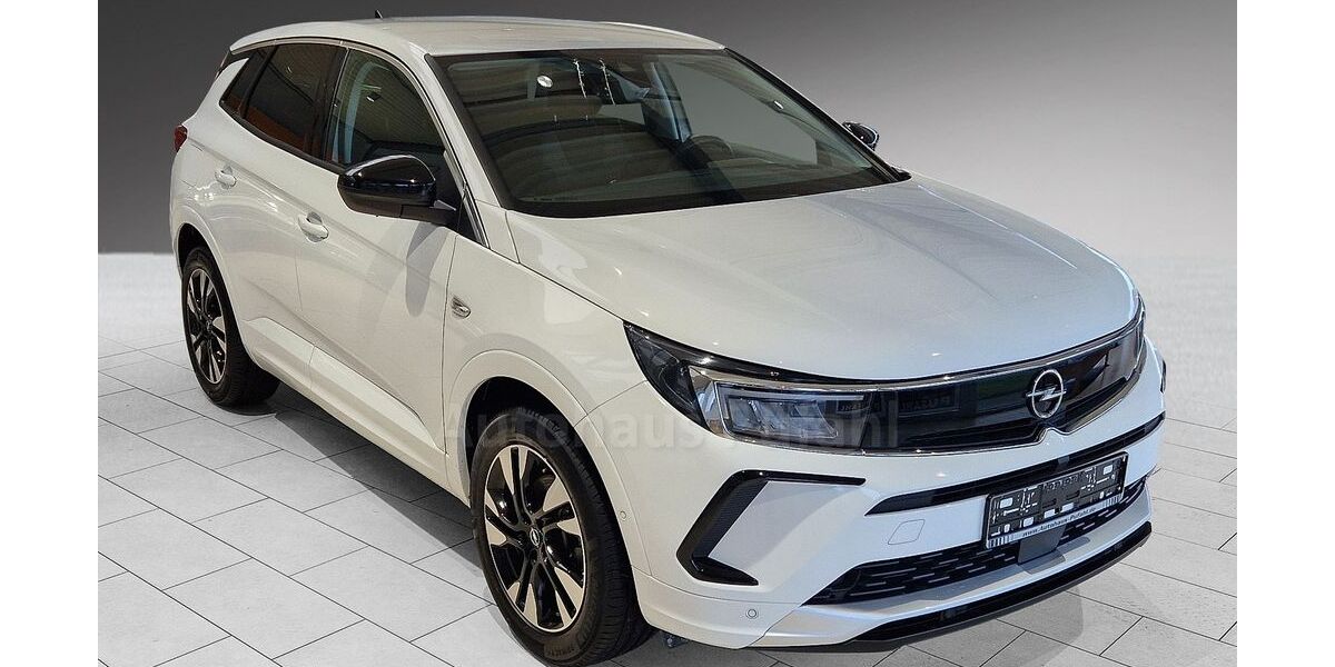 Opel Grandland (X) 25.000 km 22.600 &euro; Lengerich 49525
