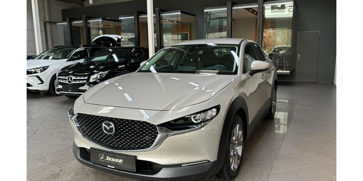 Mazda CX-30 29.900 km 19.990 &euro; Ibbenbüren 49477