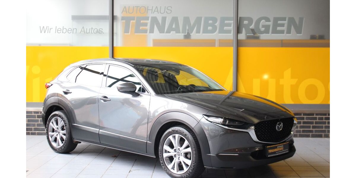 Mazda CX-3 52.800 km 21.900 &euro; Mettingen 49497