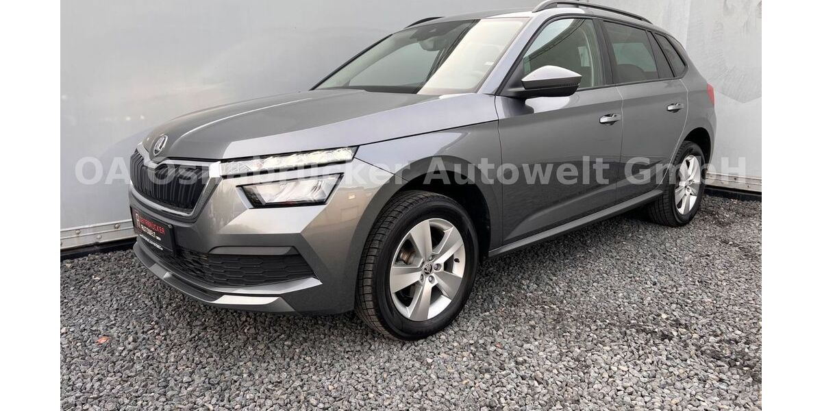 Skoda Kamiq 59.800 km 19.990 &euro; Georgsmarienhütte 49124