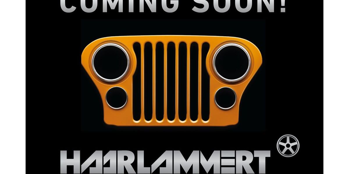 Jeep Avenger 30.490 km 20.480 &euro; Hasbergen b. Osnabrück 49205