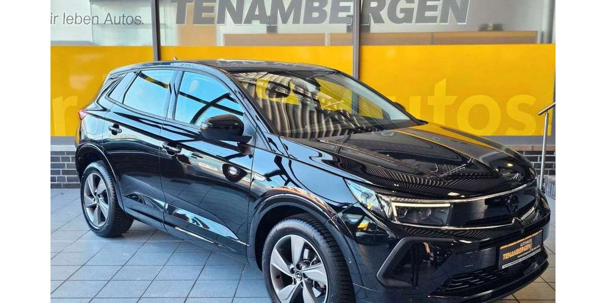 Opel Grandland X 24.900 km 25.900 &euro; Mettingen 49497