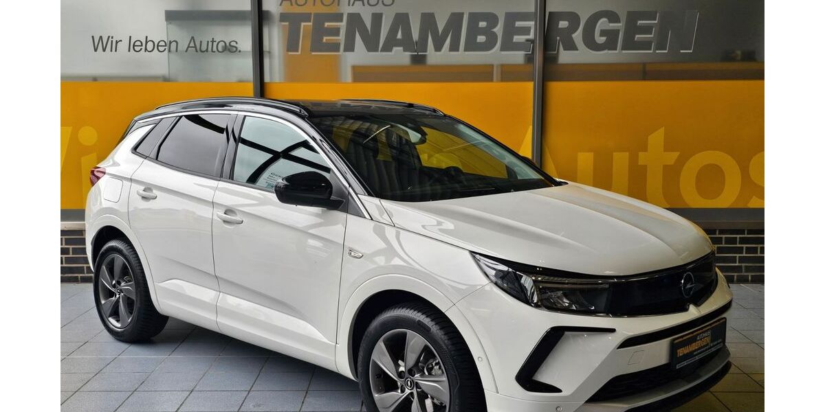Opel Grandland (X) 8.350 km 25.900 &euro; Mettingen 49497